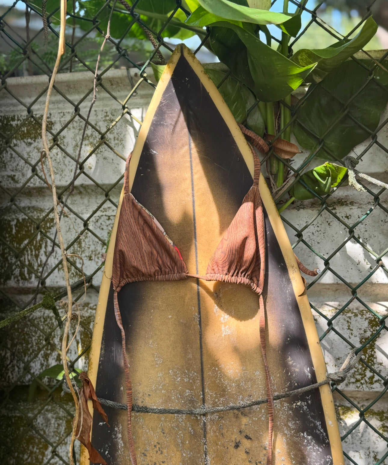 WOOD Classic Cut Triangle Top