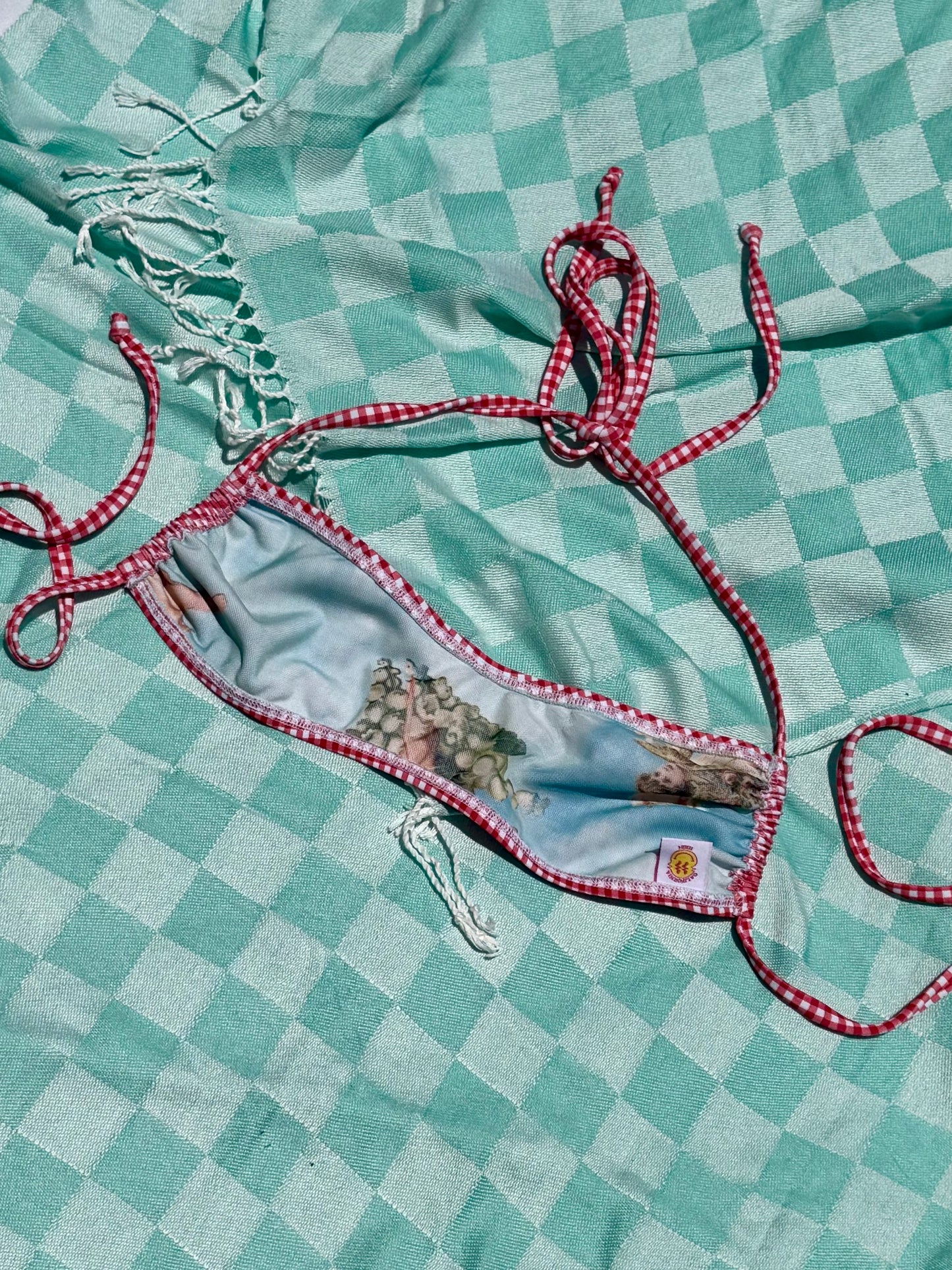 Going to Kauai Red Gingham Top